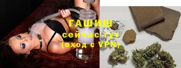 прущие грибы Куйбышев