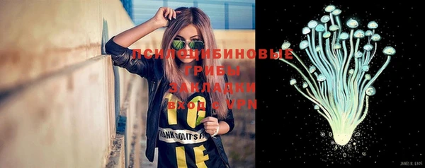 шишки Горнозаводск
