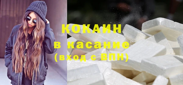 прущие грибы Куйбышев