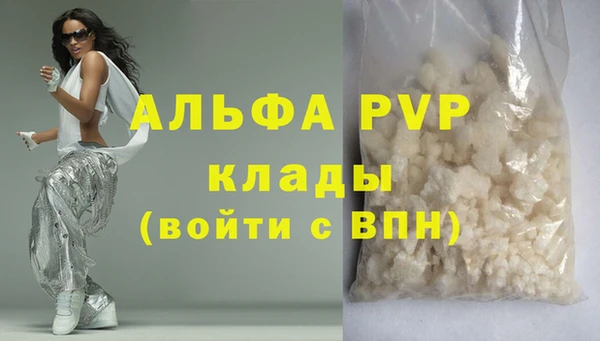 прущие грибы Куйбышев