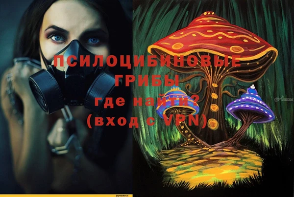 прущие грибы Куйбышев