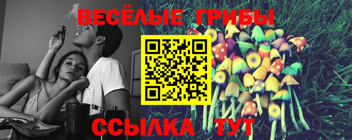 купить   Вход с VPN  Еманжелинск  Галлюциногенные грибы мицелий  Галлюциногенные грибы мухоморы 
