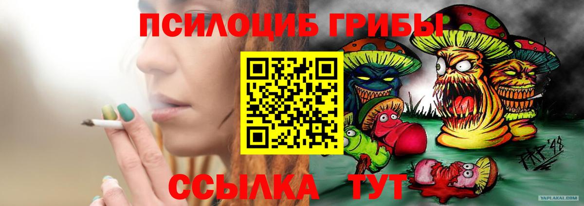 Галлюциногенные грибы мухоморы Еманжелинск
